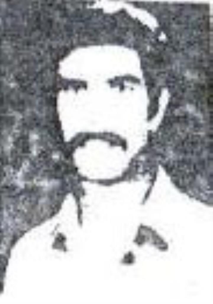 فاقد تصویر